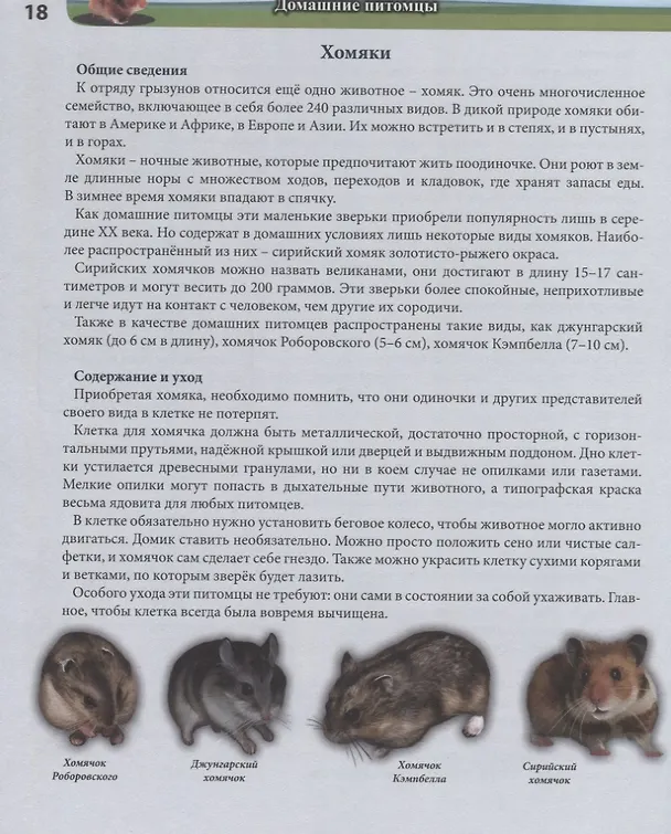 Книга Домашние питомцы. Энциклопедия (Леся Калугина) — 4
