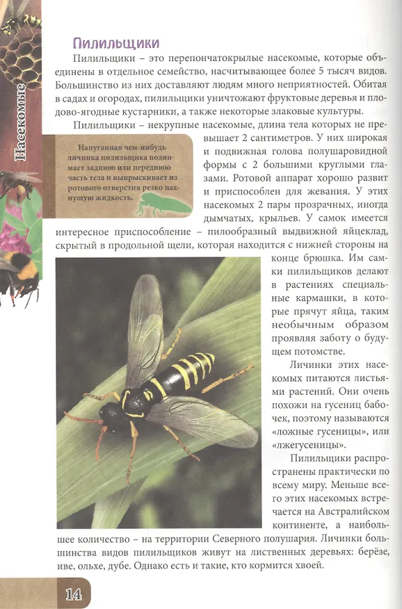 Книга ЭНЦИКЛОПЕДИЯ. В МИРЕ ЗНАНИЙ. УДИВИТЕЛЬНЫЙ МИР НАСЕКОМЫХ () — 5