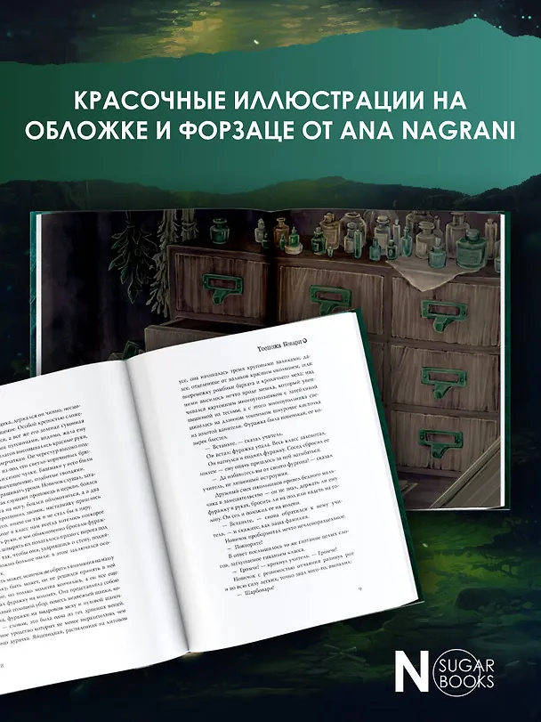 Книга Госпожа Бовари (Гюстав Флобер) — 6