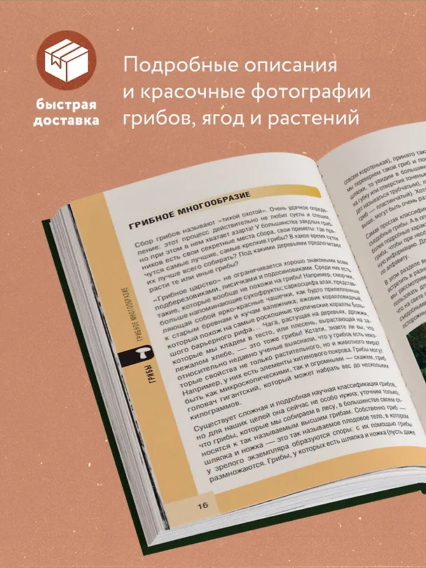 Книга Лесной гид: грибы, ягоды, травы. Карманный атлас-определитель (Людмила Семенова) — 7