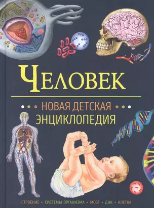 Человек. Новая детская энциклопедия — 2924190 — 1