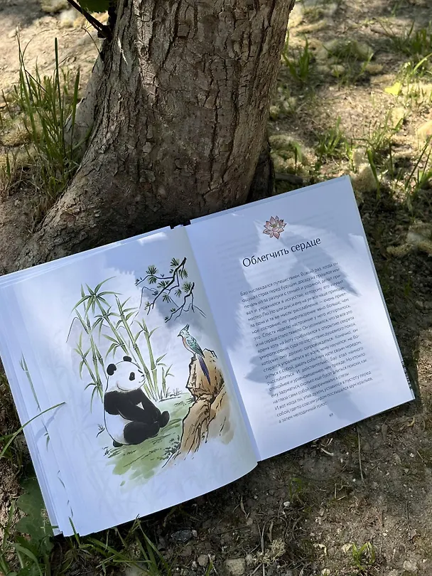 Книга Маленькая панда Бао и секрет спокойствия: добрая история о доверии к жизни (Рональд Швеппе, Алеша Лонг) — 15
