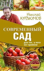 Современный сад для тех, у кого нет времени