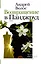 НовРусКлассика Волос Возвращение в Панджруд (РУССКИЙ БУКЕР) — 2509686 — 1