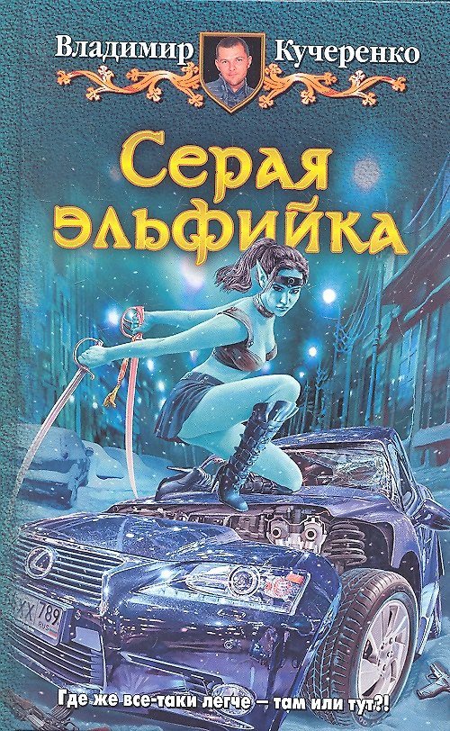 Книга Серая эльфийка: Фантастический роман (Владимир Кучеренко) — 1