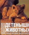 Детеныши животных. Альбом. Самые лучшие фотографии