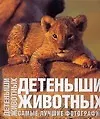 Детеныши животных. Альбом. Самые лучшие фотографии