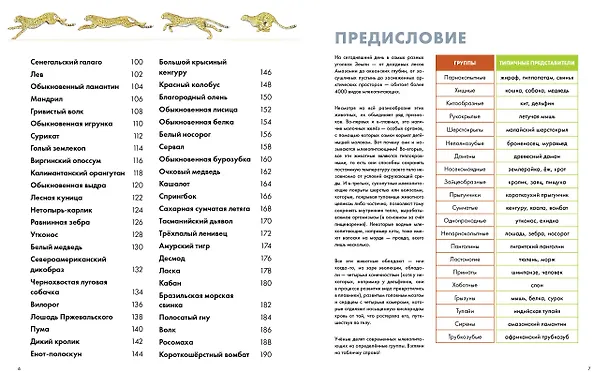 Книга Животные. Визуальная энциклопедия (Тони Хеа) — 7