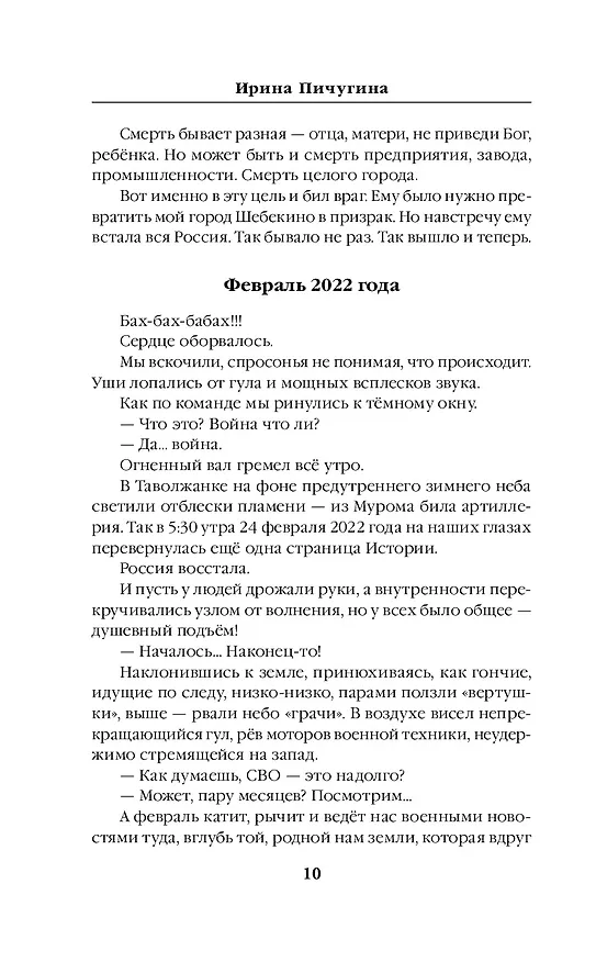 Книга Шебекинский дневник (Ирина Пичугина) — 11