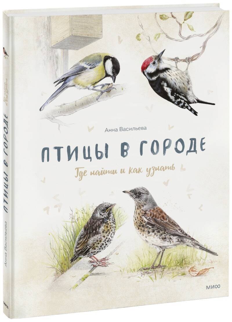 

Птицы в городе. Где найти и как узнать