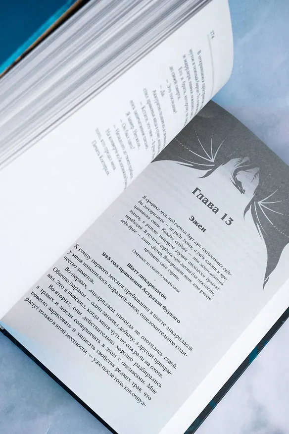 Книга Сожженные земли. Право на дом (Анна Щучкина) — 14