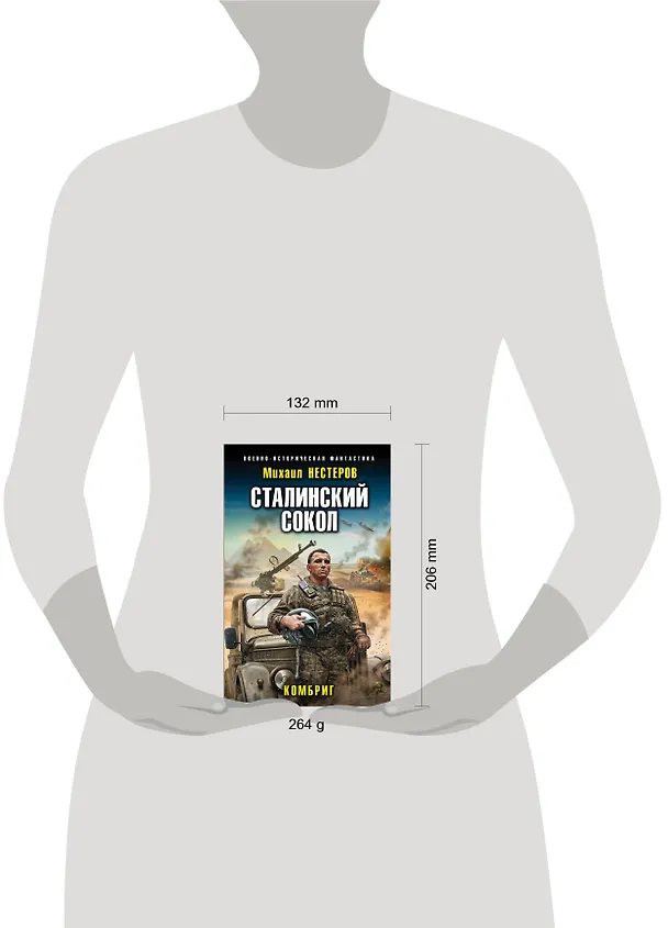 Книга Сталинский сокол. Комбриг (Михаил Нестеров) — 5