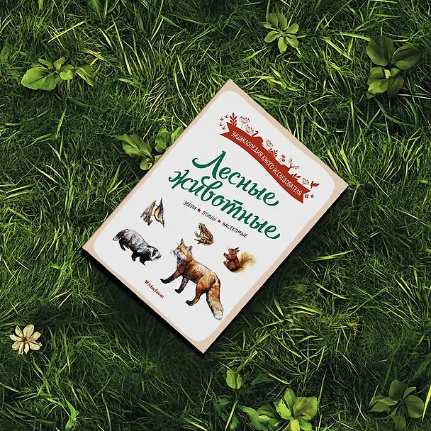 Книга Лесные животные (Ксавье Жапьо) — 12