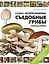 Самые распространенные съедобные грибы. Справочник-определитель грибника: новое дополненное издание — 2130528 — 1