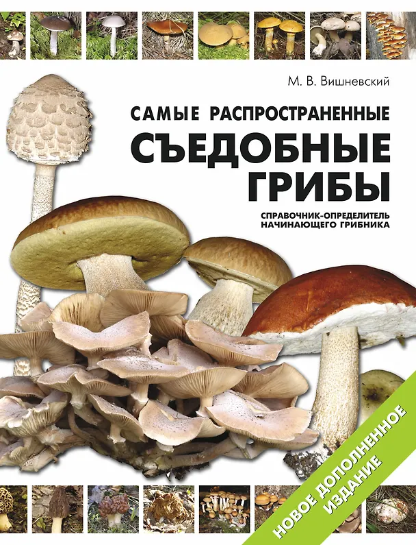Книга Самые распространенные съедобные грибы. Справочник-определитель грибника: новое дополненное издание (Михаил Вишневский) — 1