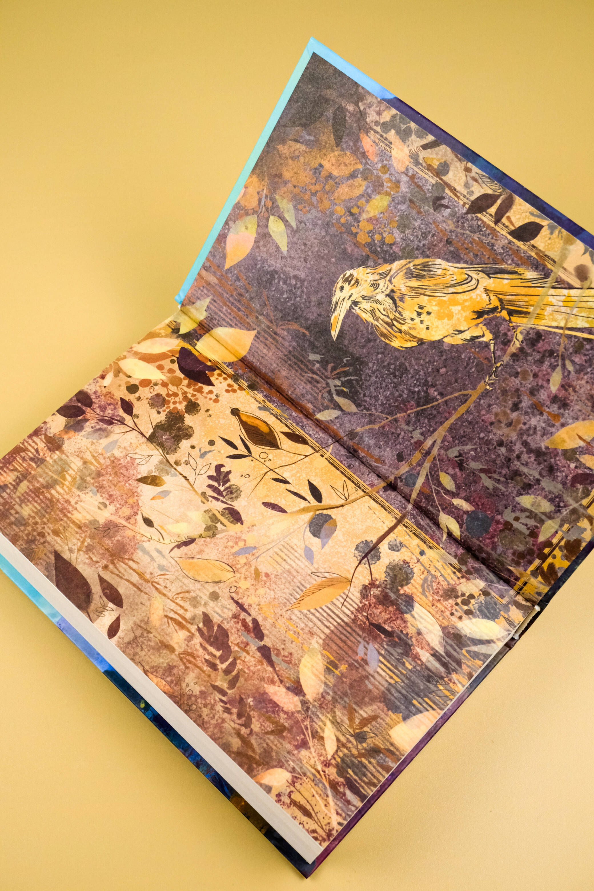 Изображение бумажной книги