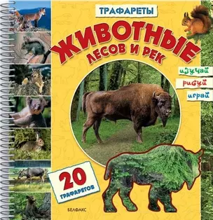 Животные лесов и рек. Изучай, рисуй, играй. 20 трафаретов + фломастеры — 2140797 — 1