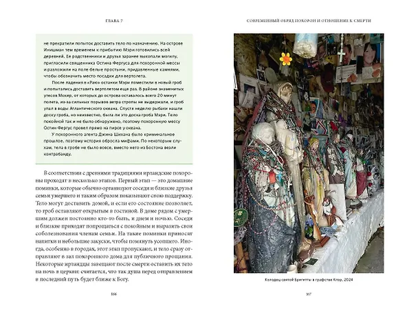 Книга Ирландская культура смерти. «Веселые поминки», духи иного мира и похитители тел (Екатерина Московскова) — 18