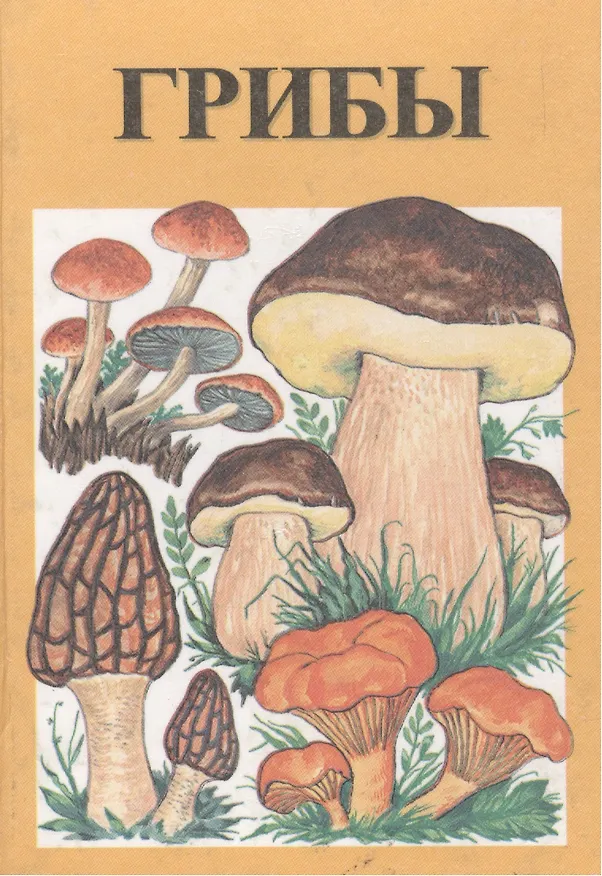 Книга Грибы. Справочник () — 1