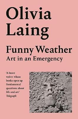 Книга Funny Weather () — 1