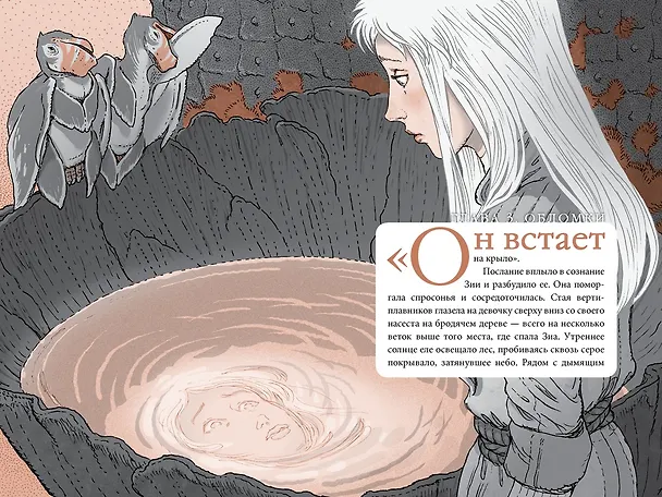 Книга Битва за УдивЛу (Тони ДиТерлицци) — 18