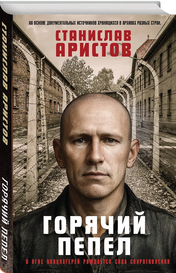 Книга Горячий пепел (Станислав Аристов) — 4