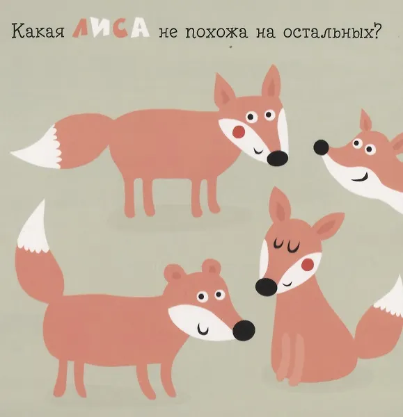 Книга Загадочный лес. Найди отличие (Настя Хольтфретер) — 6