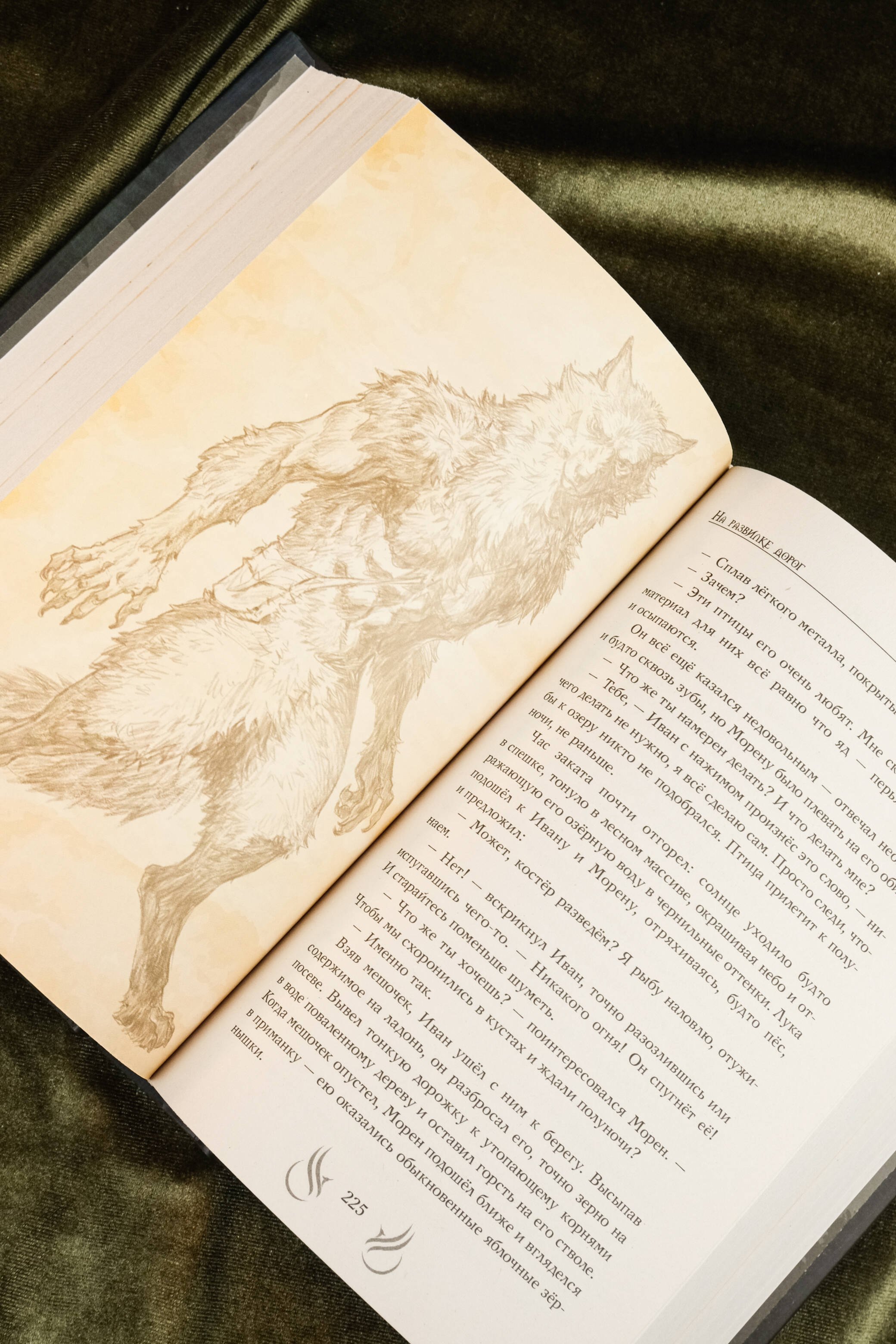 Изображение бумажной книги