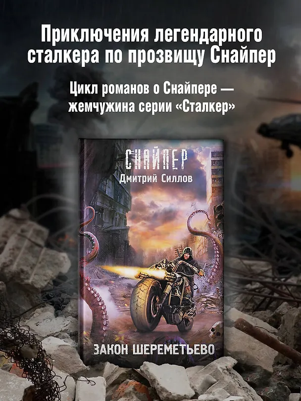 Книга Закон Шереметьево (Дмитрий Силлов) — 5