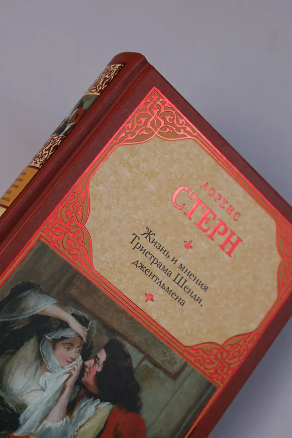 Книга Жизнь и мнения Тристрама Шенди, джентльмена (Лоренс Стерн) — 7