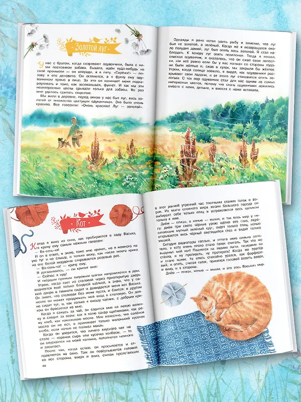Книга Рассказы о природе (Михаил Пришвин) — 5