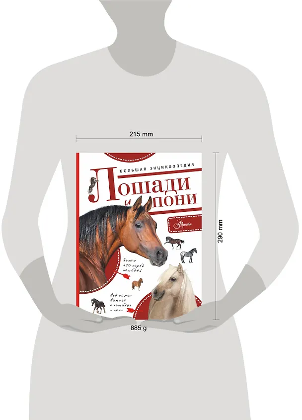 Книга Большая энциклопедия. Лошади и пони () — 4