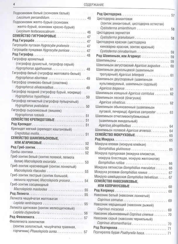 Книга Грибы Полная илл. энциклопедия Более 400 видов грибов... (Куреннов) () — 6