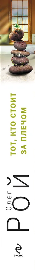 Книга Тот, кто стоит за плечом : роман (Олег Рой) — 3