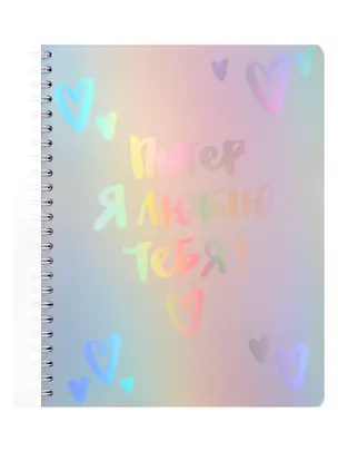 Тетрадь 80л кл. СПб "Питер я люблю тебя" обл.пласт., спираль 3105277