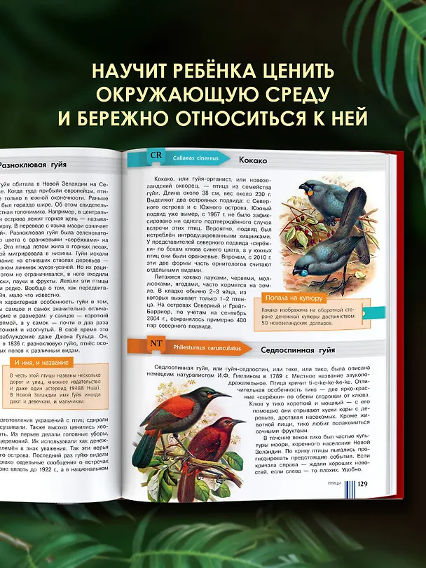 Книга Красная книга мира (Ирина Пескова, Михаил Молюков) — 9