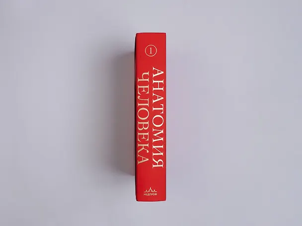 Книга Анатомия человека. Эксклюзивное издание с 50-летней историей. Том 1 (Джузеппе Анастази, Марио Каннас, Гвидо Кавалетти) — 19