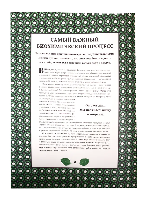 Книга Мир растений (Мартин Дженкинс) — 6