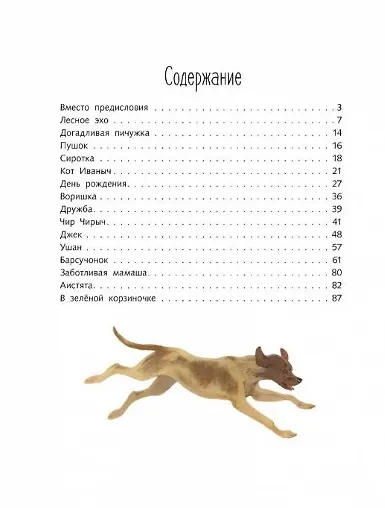 Книга Друзья моего детства (Георгий Скребицкий) — 6