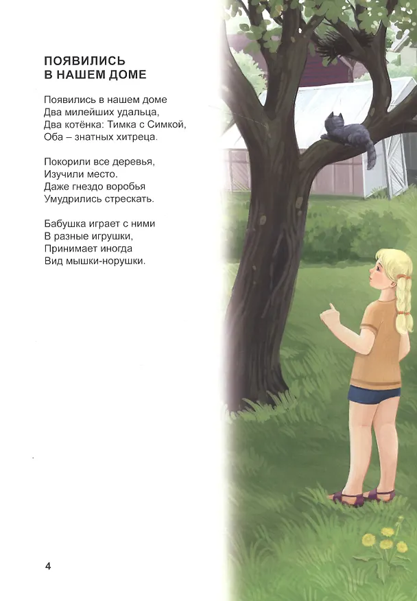 Книга Летние приключения на даче (Иван Полонянкин) — 3
