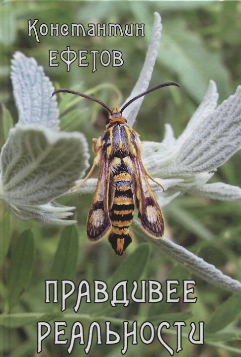 Книга Правдивее реальности (Константин Ефетов) — 1
