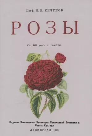 Розы. — 2855938 — 1