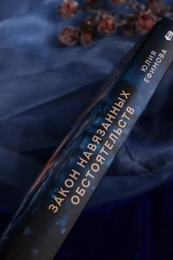 Книга Закон навязанных обстоятельств (Юлия Ефимова) — 10