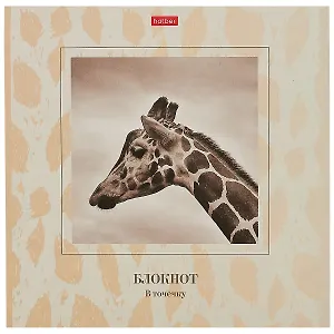 Блокнот в точку «Жираф», 48 листов, А5