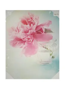 Картина Пион (30х40) (740-176)