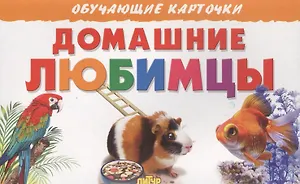 Домашние любимцы