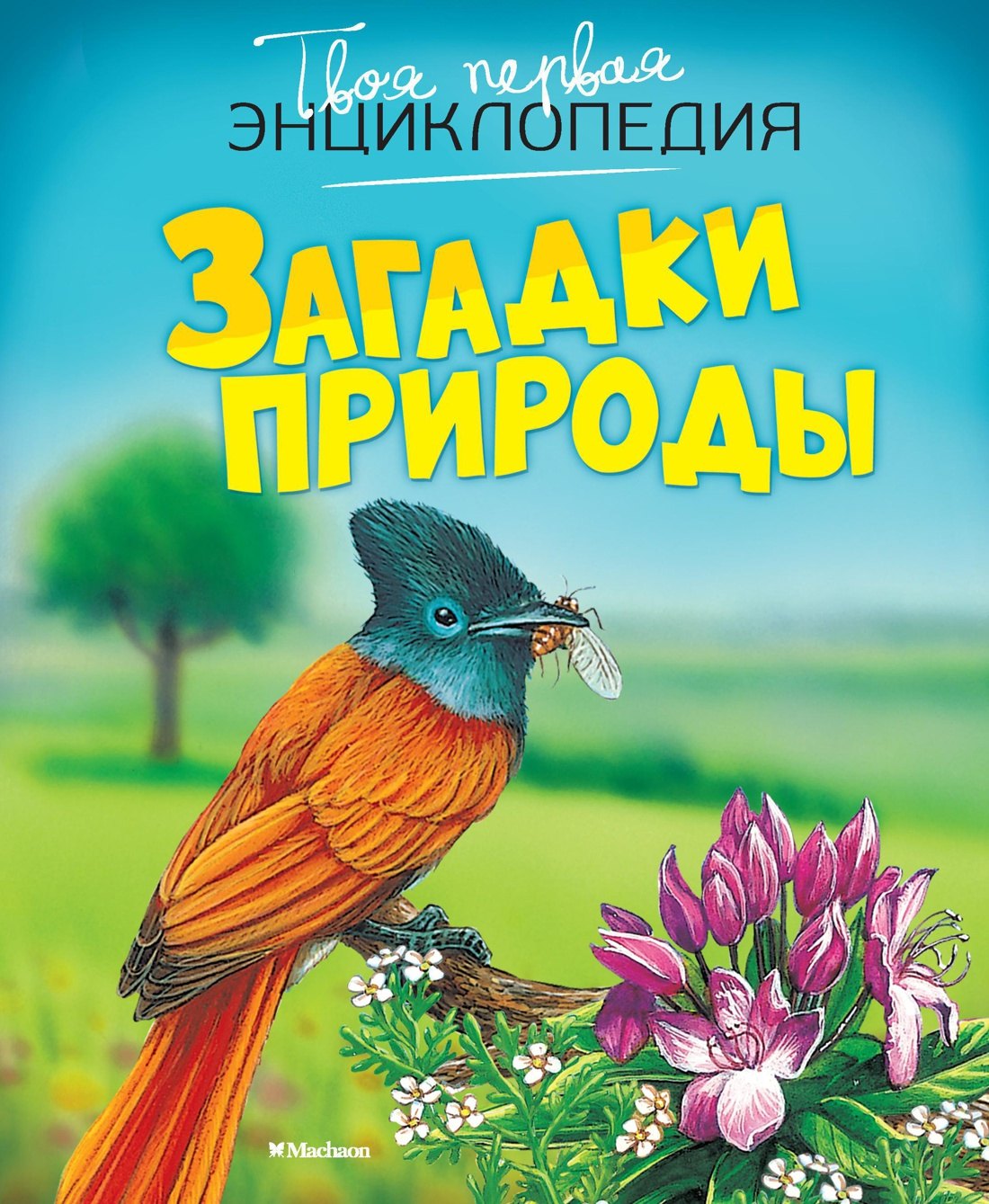 

Загадки природы