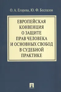 Европейская конвенция о защите прав человека и основных свобод в судебной практике