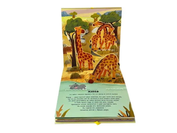 Книга Животные. Pop-up панорамка с крупными буквами () — 12