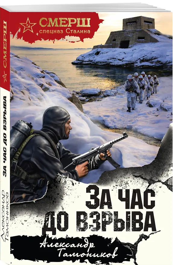 Книга За час до взрыва (Александр Тамоников) — 4